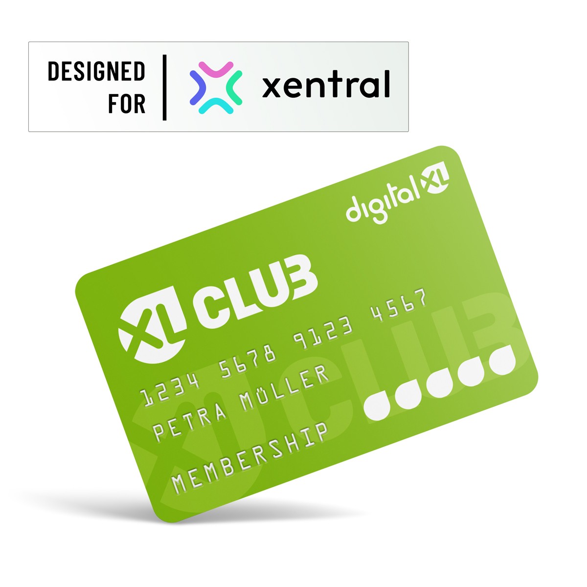 digitalXL CLub euer Xentral Support