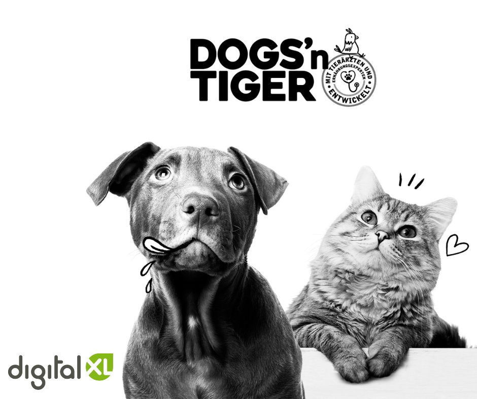 Die Zusammenarbeit zwischen dem Hamburger Unternehmen dogs'n Tiger und der Xentral Premium-Agentur ist eine Erfolgsgeschichte für beide Seiten.